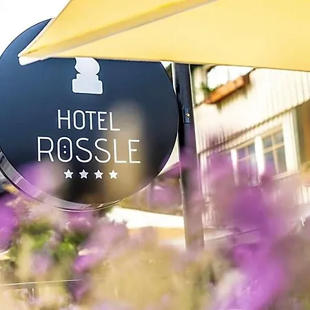Otel Roessle Au (Bregenz)